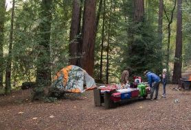 Park image