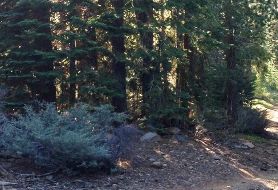 Park image