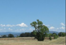 Park image