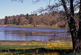 Park image