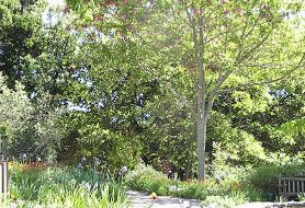 Park image