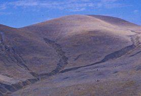 Park image