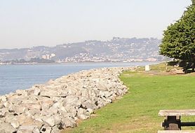 Park image