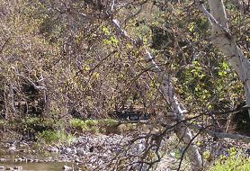 Park image