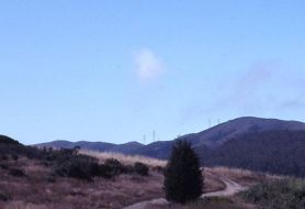 Park image