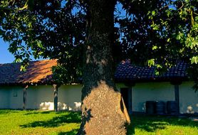 Park image