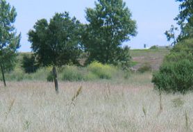 Park image