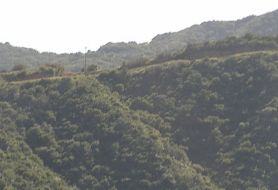 Park image