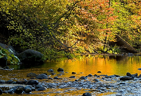 Park image