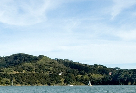 Park image