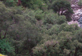Park image
