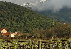 Park image