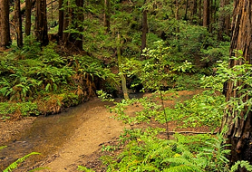 Park image