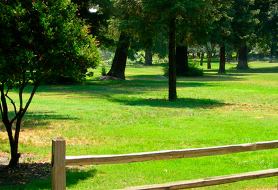 Park image