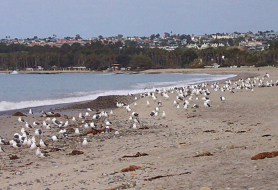 Park image