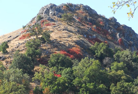 Park image