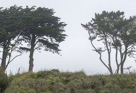 Park image