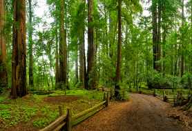 Park image