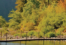 Park image
