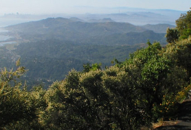 Park image