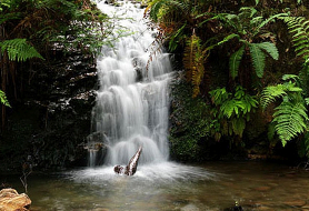 Park image