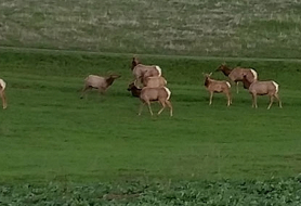 Park image