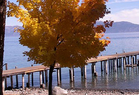 Park image