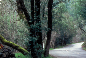 Park image